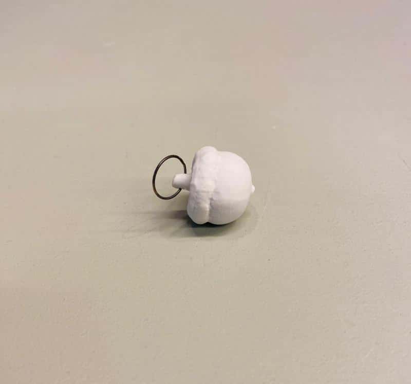 Quercus rubra - Afbeelding 2